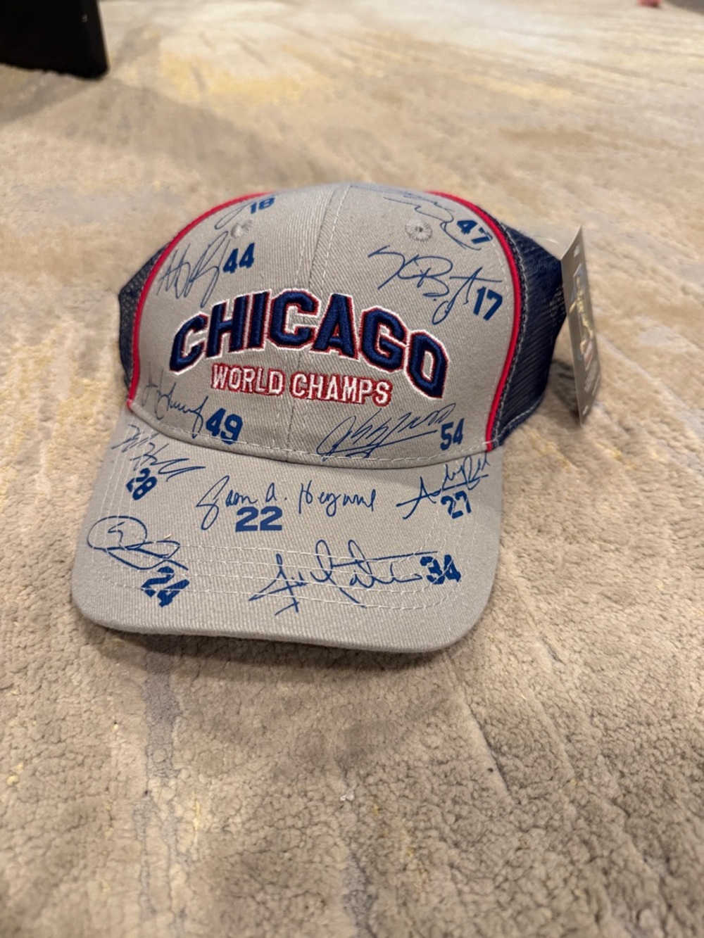 Chicago‎ Cubs World Champs AMI Snap Back MLB Adjustable Hat Cap new